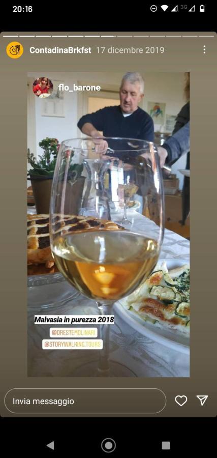 弗拉斯卡蒂Poggio Agli Ulivi别墅 外观 照片