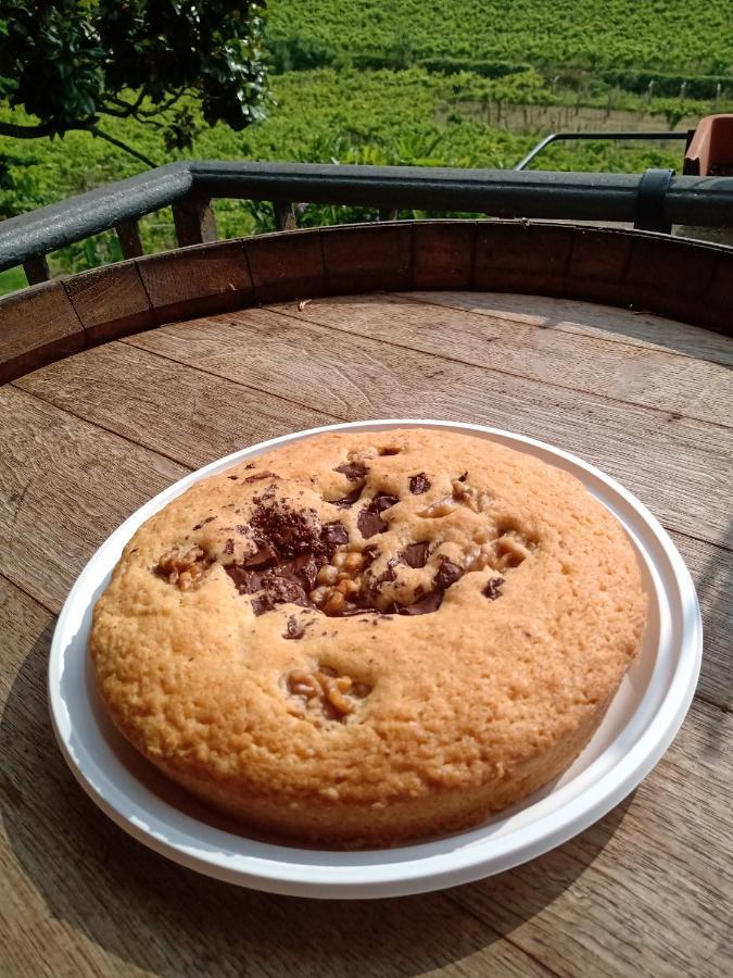 弗拉斯卡蒂Poggio Agli Ulivi别墅 外观 照片