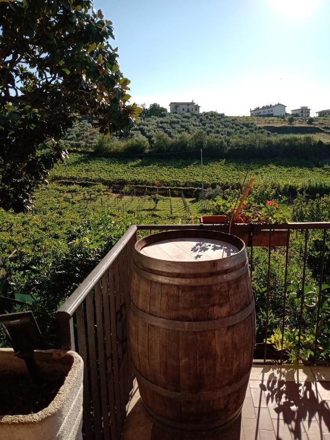 弗拉斯卡蒂Poggio Agli Ulivi别墅 外观 照片