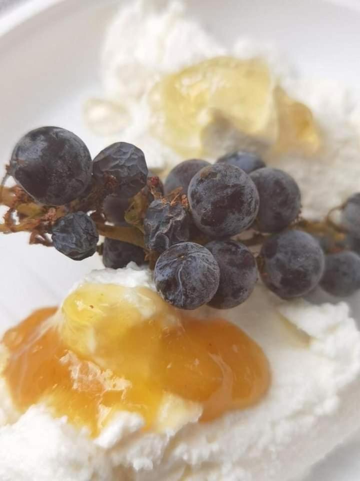弗拉斯卡蒂Poggio Agli Ulivi别墅 外观 照片