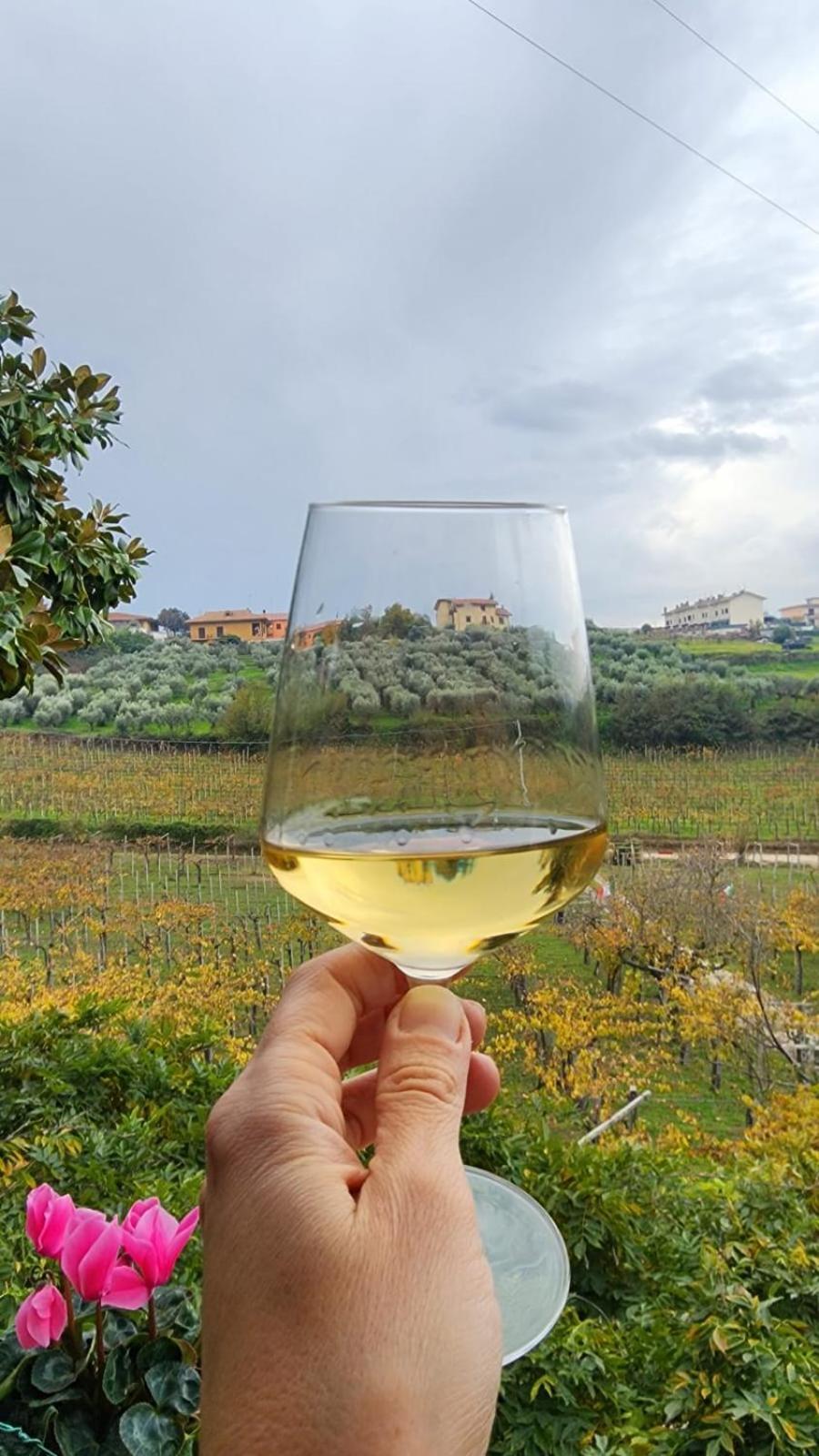 弗拉斯卡蒂Poggio Agli Ulivi别墅 外观 照片